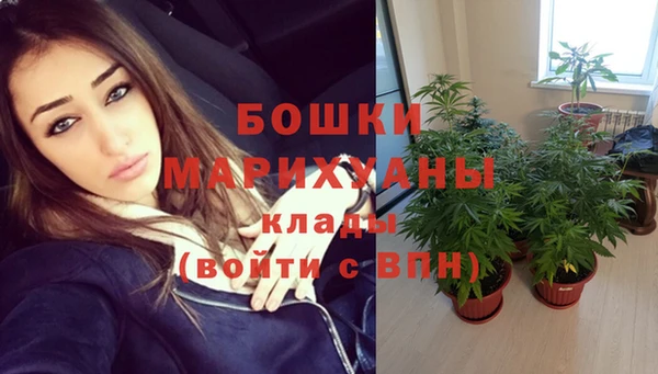 дмт Майский
